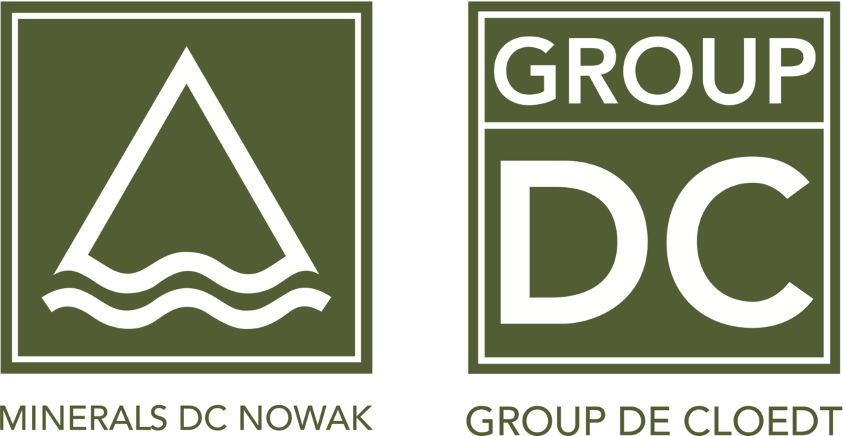 logotypy DC GROUP NOWAK1