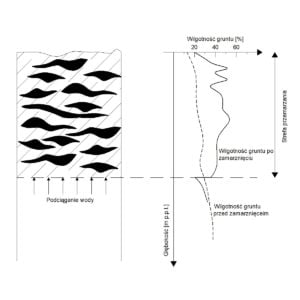 Wysadzinowość gruntów